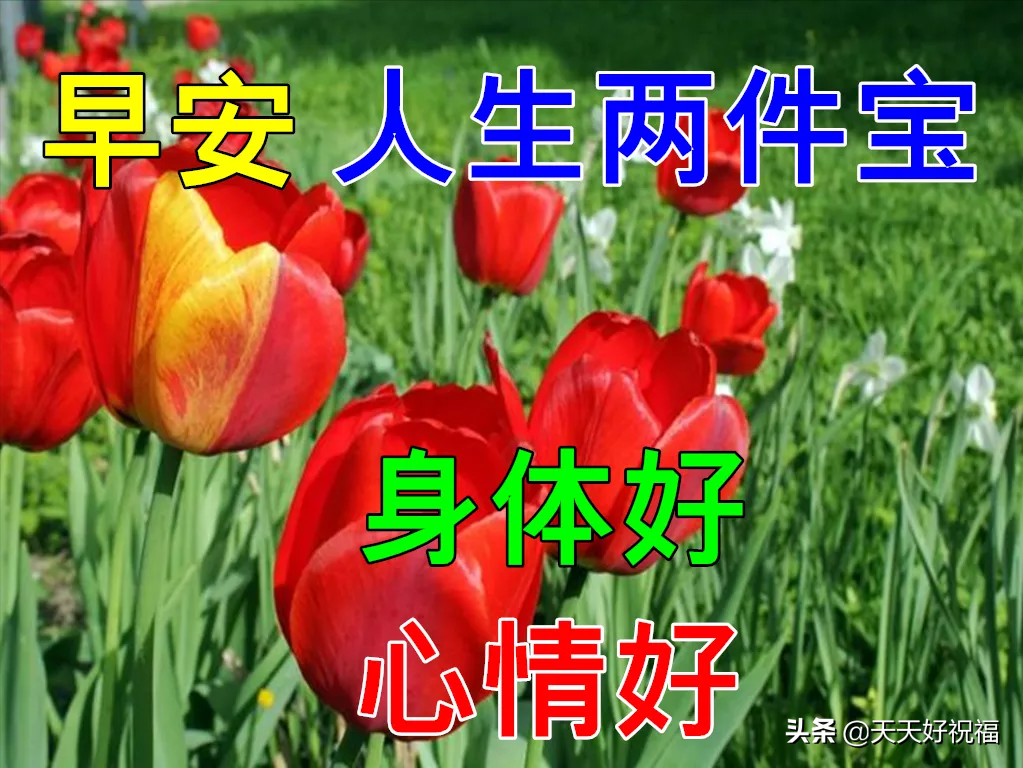 11月6日特别漂亮早上好祝福动态图片大全，深秋早晨好美图大全