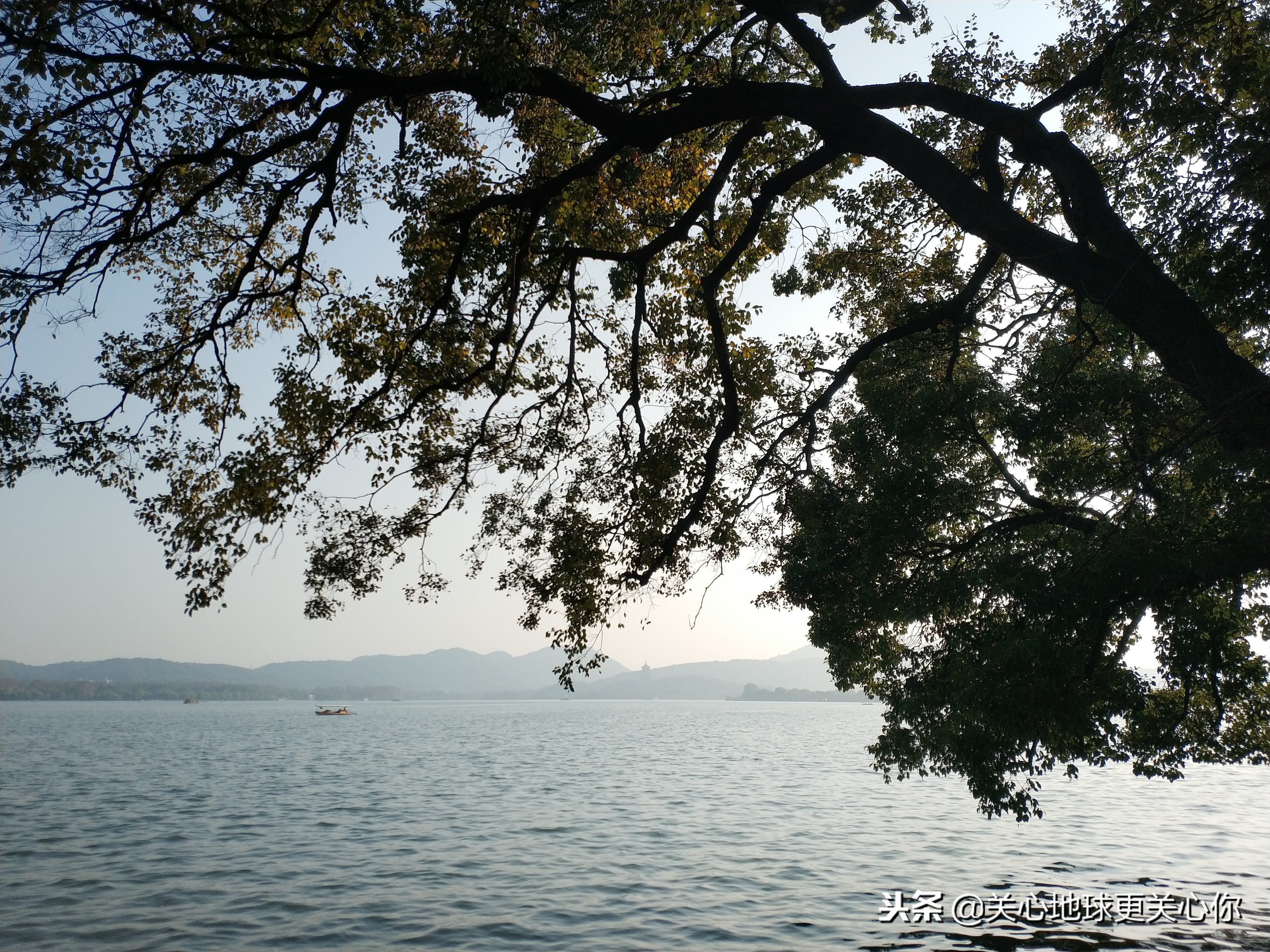 品笑傲江湖，访西湖孤山