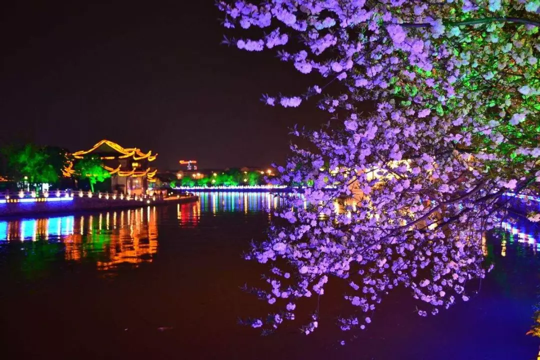 春季是游览扬州的最佳时节，扬州旅游攻略有这篇就足够了，先收藏
