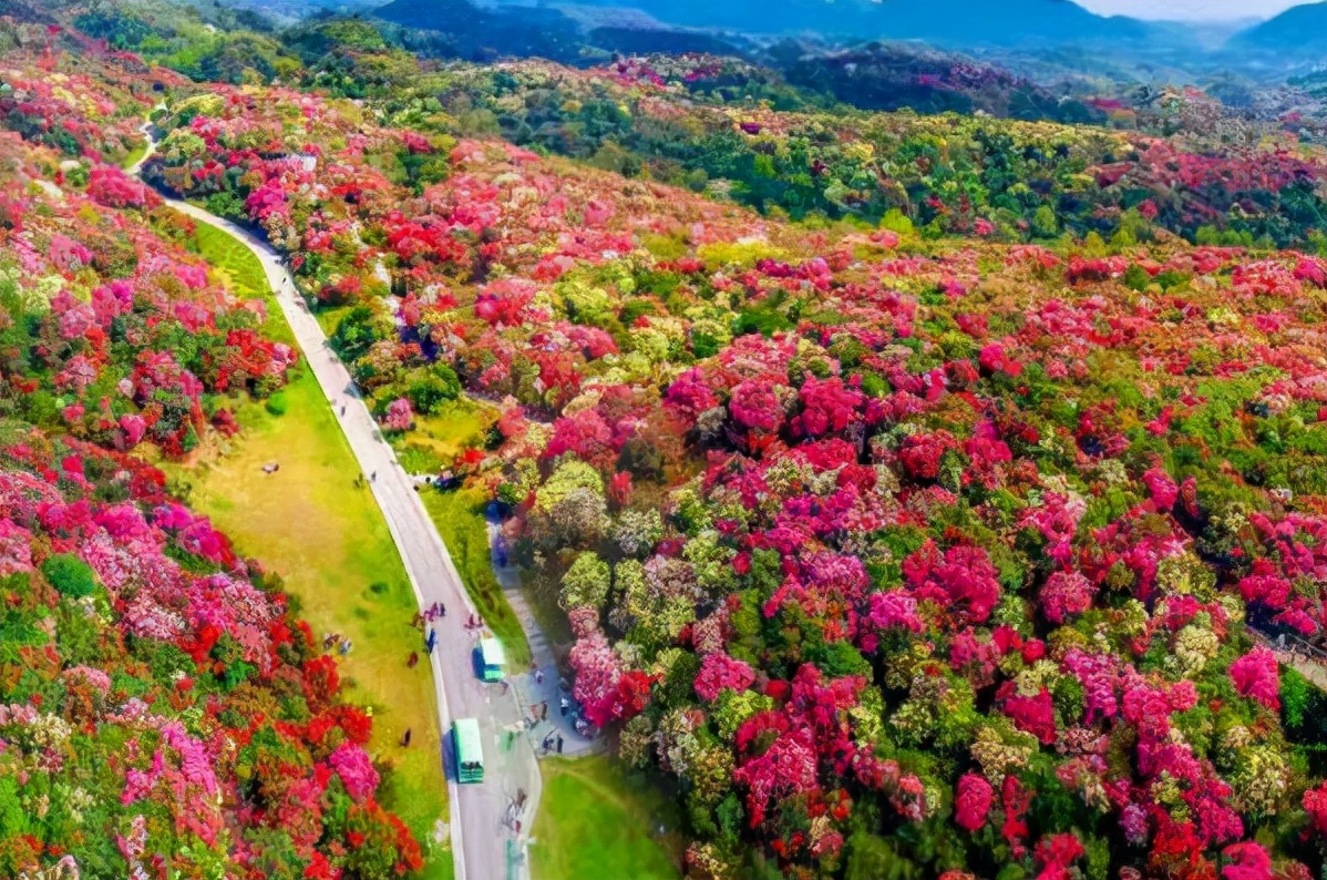 「原创诗词」李遂生 | 贵州十大风景名胜区(诗词十首)