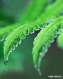 淘金币拍链接充值解说（目前全部充值安全的做法）