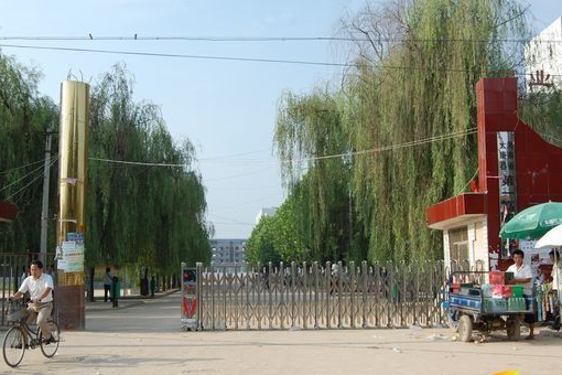 河南周口中学排行出炉，这五所学校被选中，人称“五小天王”