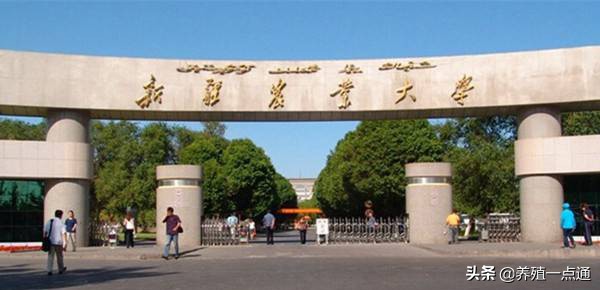 李海英（女），新疆农业大学教授、博导，动物科学学院副院长