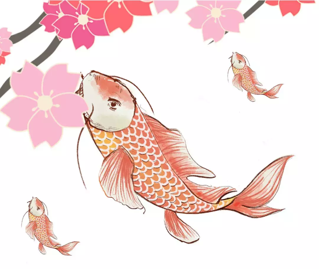 锦鲤,幸运的代名词