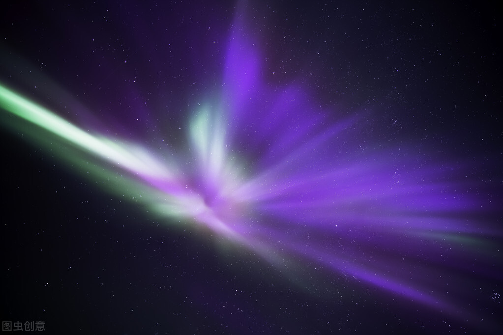 会计学专业就业方向（会计专业的就业前景以及未来的规划）