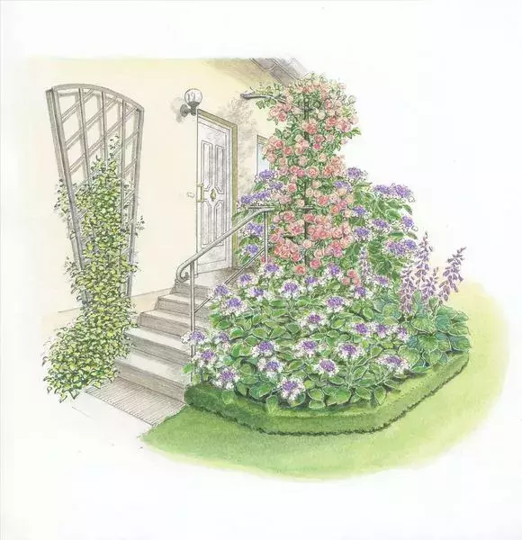 设计师在具体种植以前都会实现做出效果图,以手绘花镜图居多,小编为