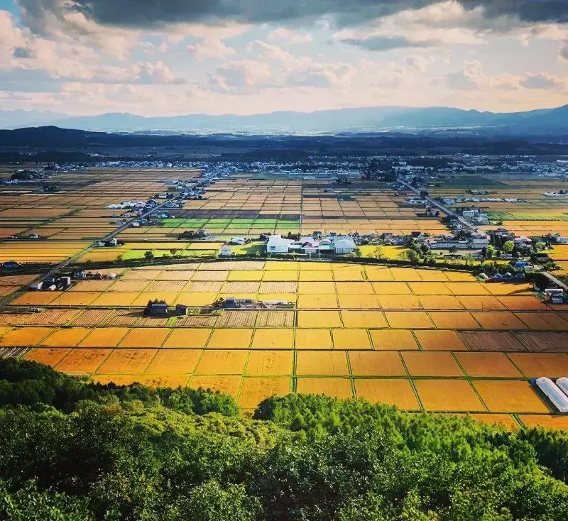 暑期亲子壮游:在夏日北海道,接受山川粮食的教育