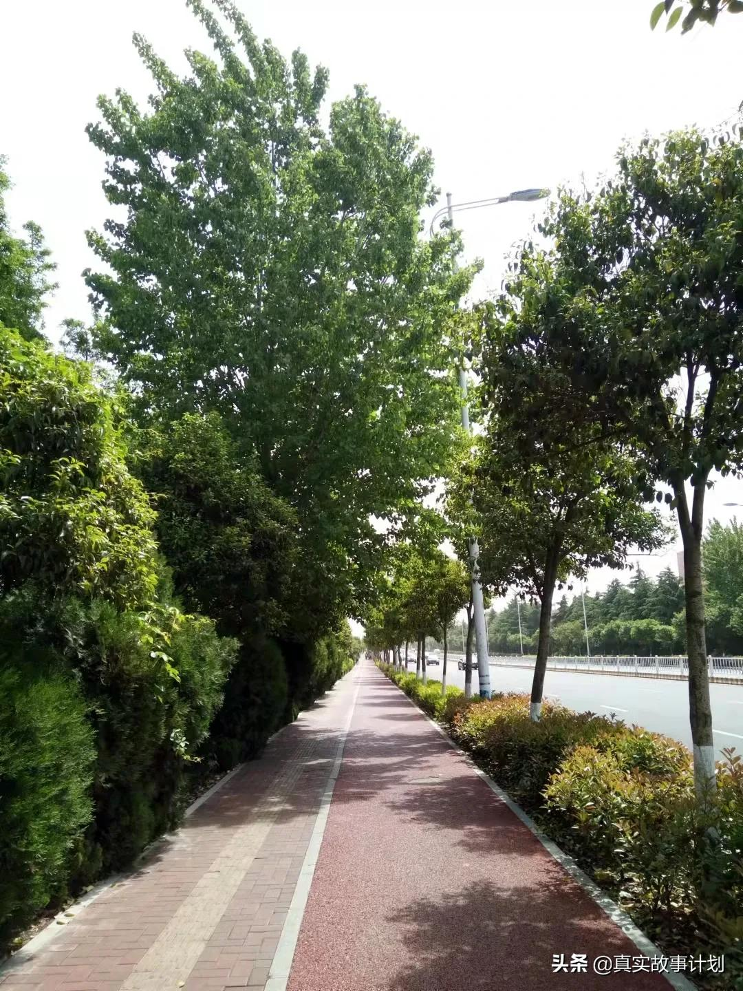 90%以上考研率，宿舍抱团考研：县城里的大学如何逆袭考研神校？