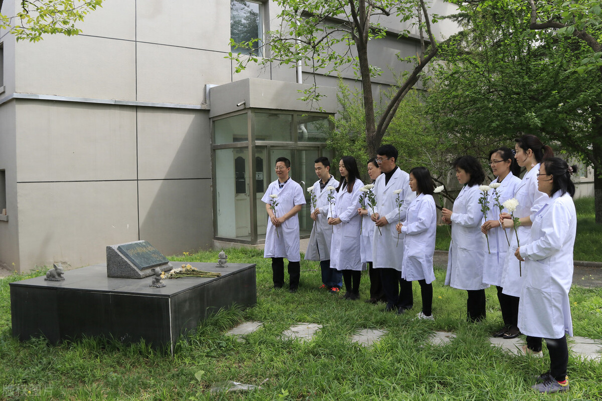 这些大学的口腔医学专业，办学水平高，毕业生就业质量有保障