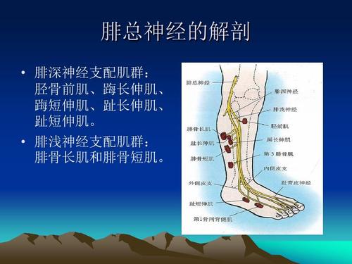 点穴功夫真的存在，普通人也能学会，科学角度告诉你点穴原理