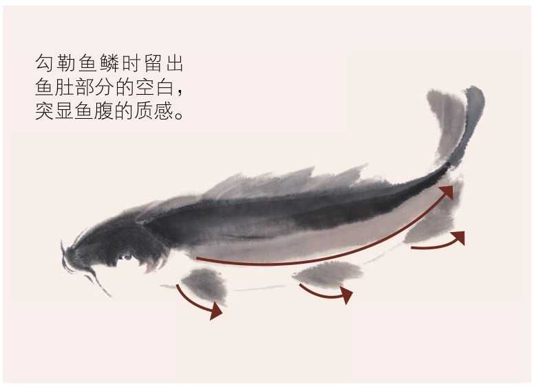 零基础水族的画法：怎么样用双勾发画金鱼鲤鱼？学会几分钟一幅画
