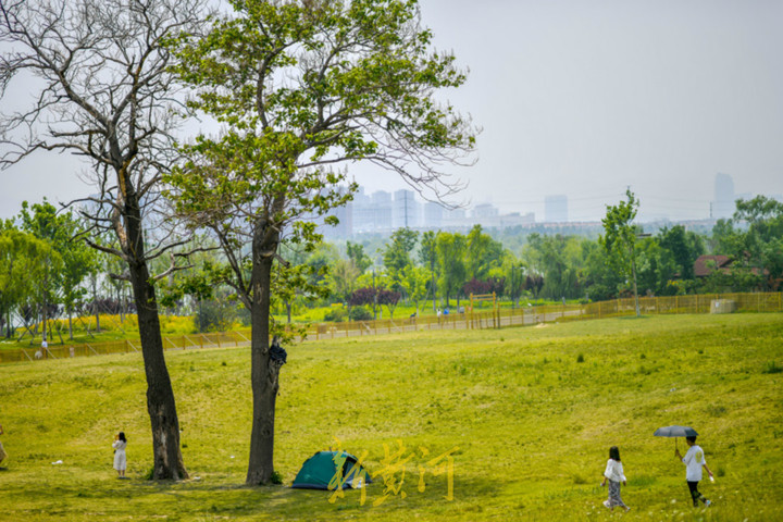 华山旅游景点(济南华山风景区三棵树成网红打卡地，你来过了没？)