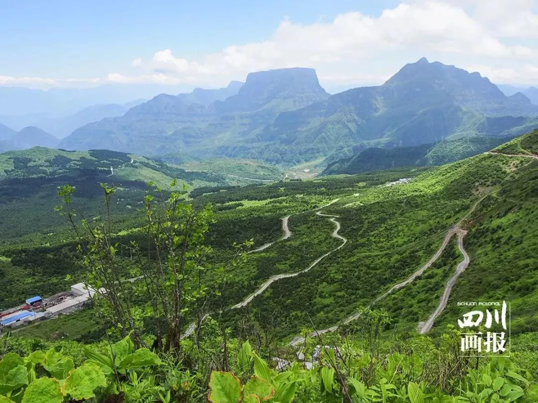 不收门票的世界级风景！赏万亩夏花、观云海日出…成都2天耍来回