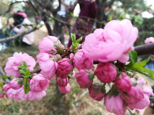 2019安徽一流专业排名15强，中国科学技术大学第一，安徽大学第五