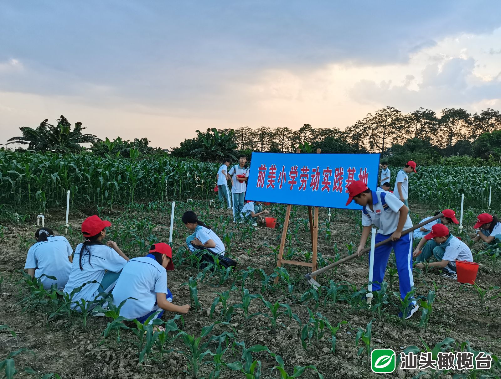 【打造区域教育高地】这些学校的办学特色是这样的……