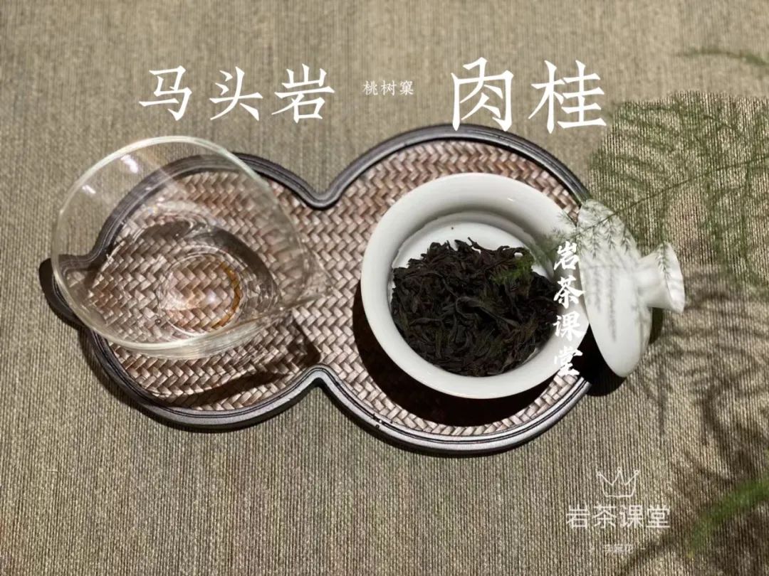 牛肉、马肉、猴肉、鬼肉，这么多正岩肉桂，哪个山场的味道最好？