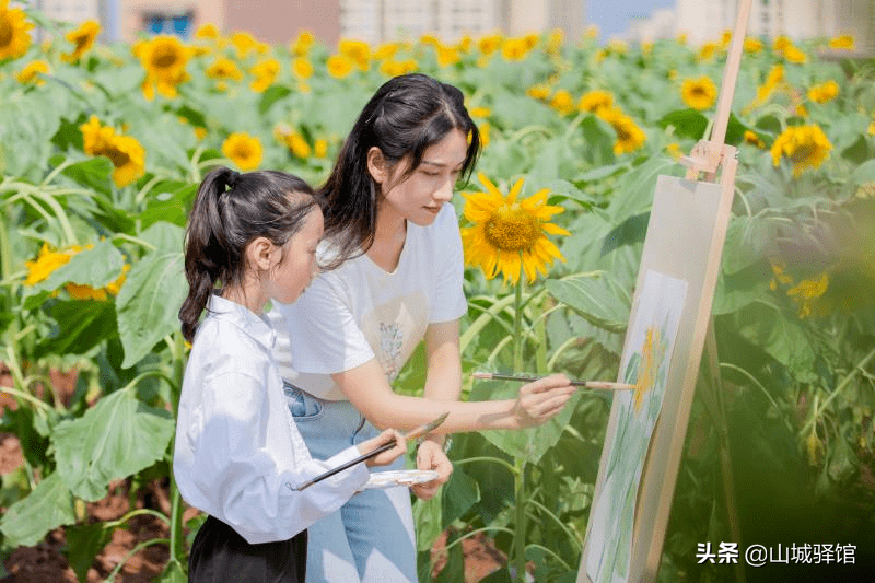 重庆一小学楼顶种14000株向日葵，盘点别人家学校的花式楼顶风光