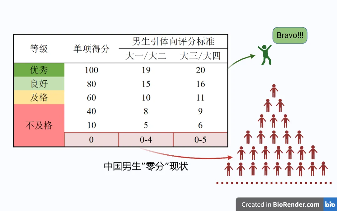 大学男生引体向上零分率接近80%！肌肉力量锻炼，不只是为了塑造肌肉线条，更是为了健康