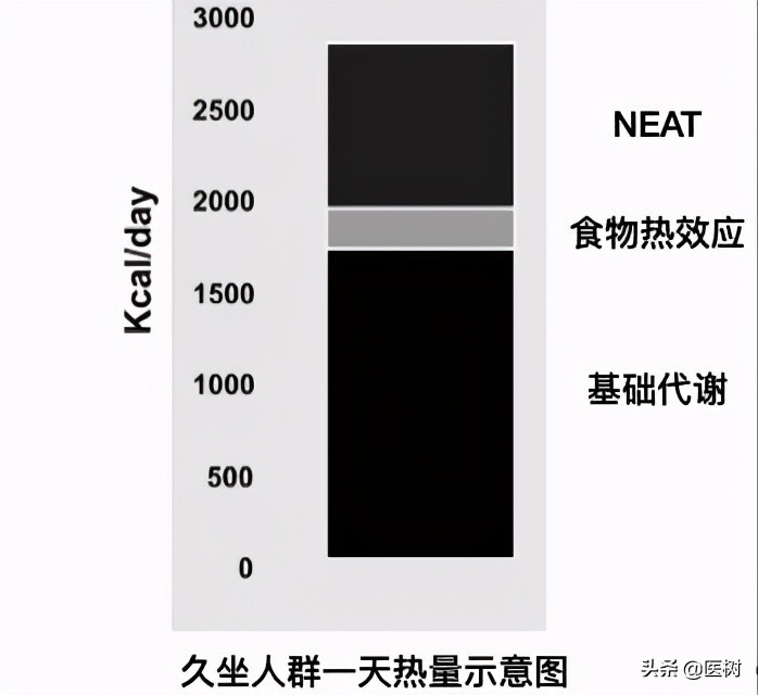 数据为王：人每天需要多少卡路里？要吃多少食物？