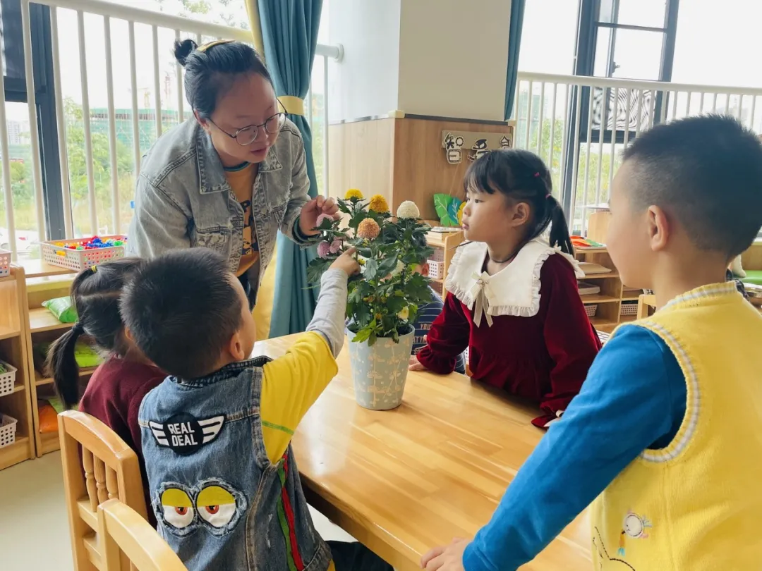 童心敬老 爱在重阳 ∣ 四川天府新区宁安幼儿园中大班组重阳节活动
