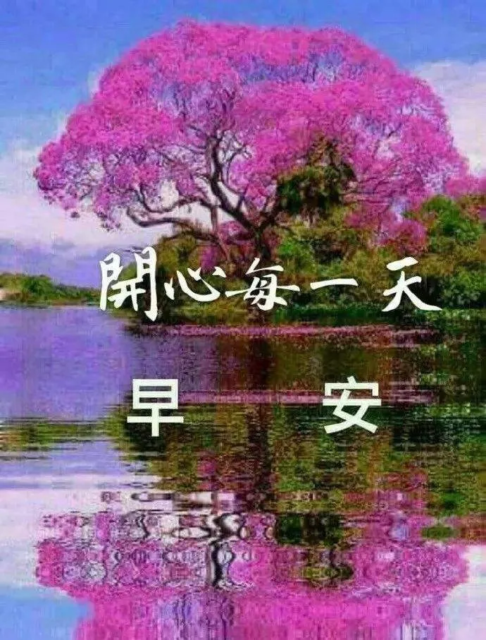 早晨安好：晨起的雨露甜甜，送去我对你的感言，早晨好