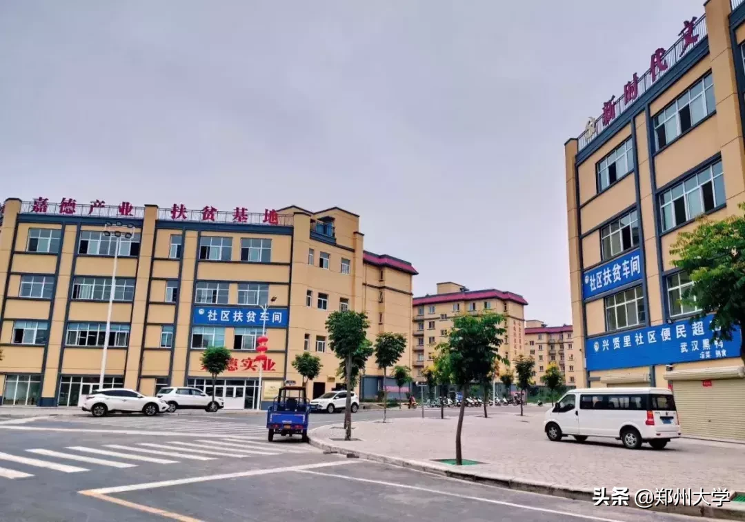 青春心向党,建功新时代——郑州大学大学生暑期社会实践活动综述(二)