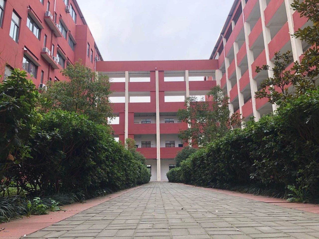 南京这所九年一贯制名校藏着“全国第一品牌”