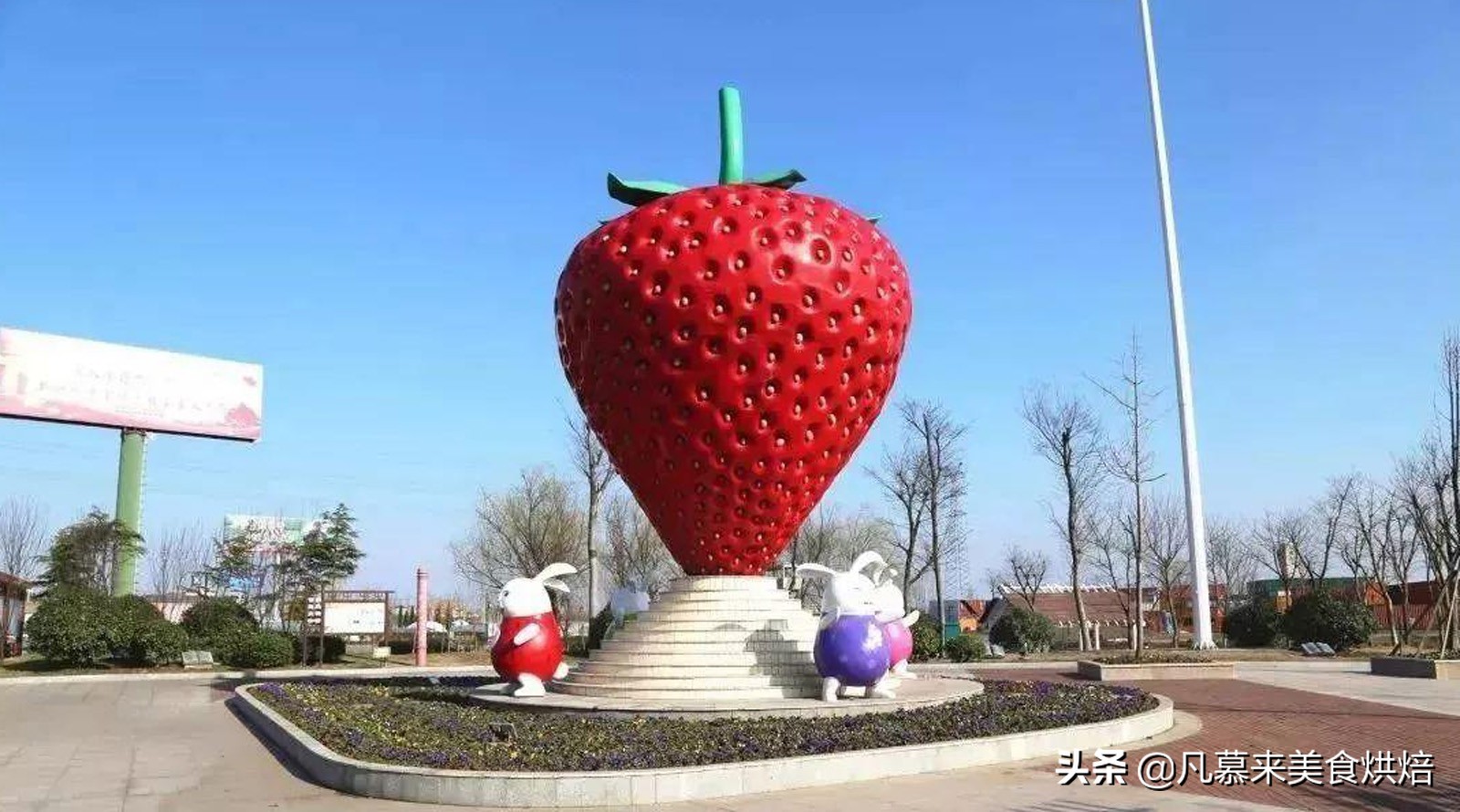 24种常见草莓品种，中国20大草莓产地？哪里的草莓最好吃？
