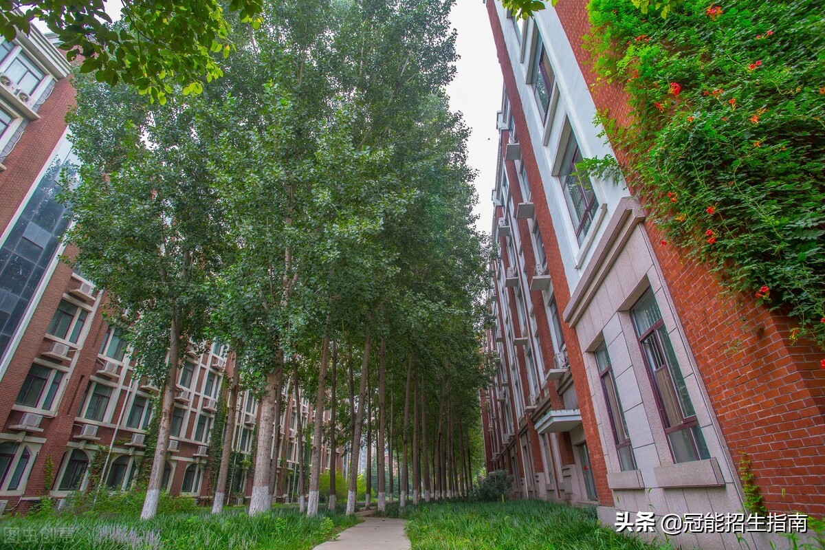 成都护理公办中专学校排名_排名前五的公办中专学校