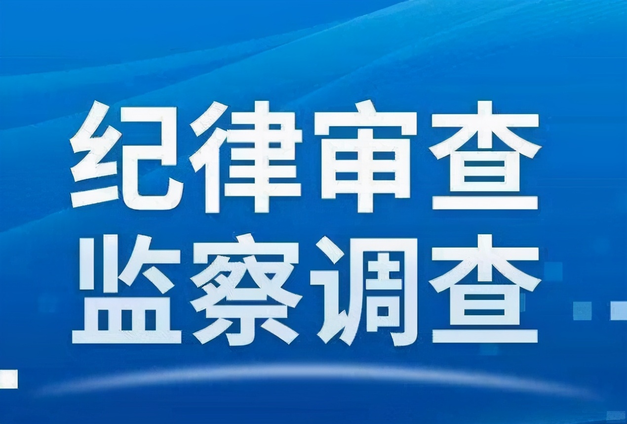 邹城汽车违章查询系统及政府官员信息查询