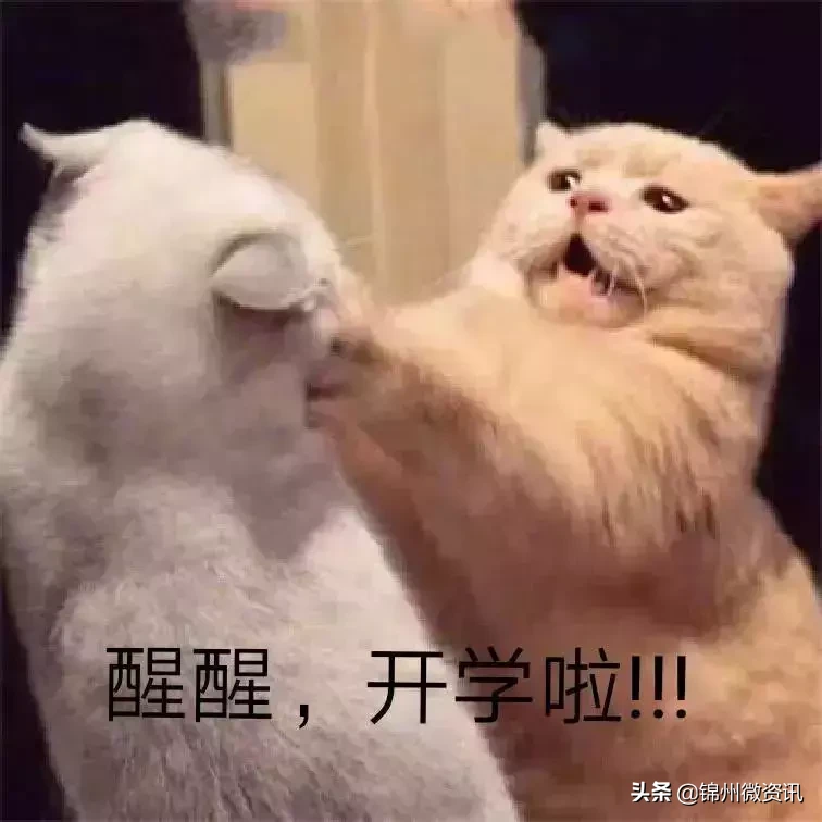 锦州渤海大学开学了！终于可以见到TA