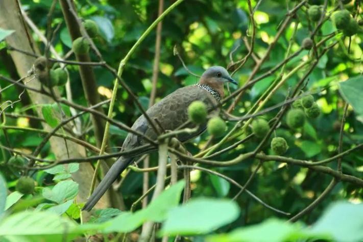 今年暑期，这3部电视剧超火，主角全部来自重庆这所高校！