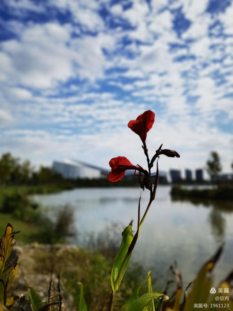 江南，你那神奇的所在