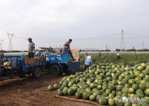 长春特产有哪些可以带（分享吉林省的14大土特产）