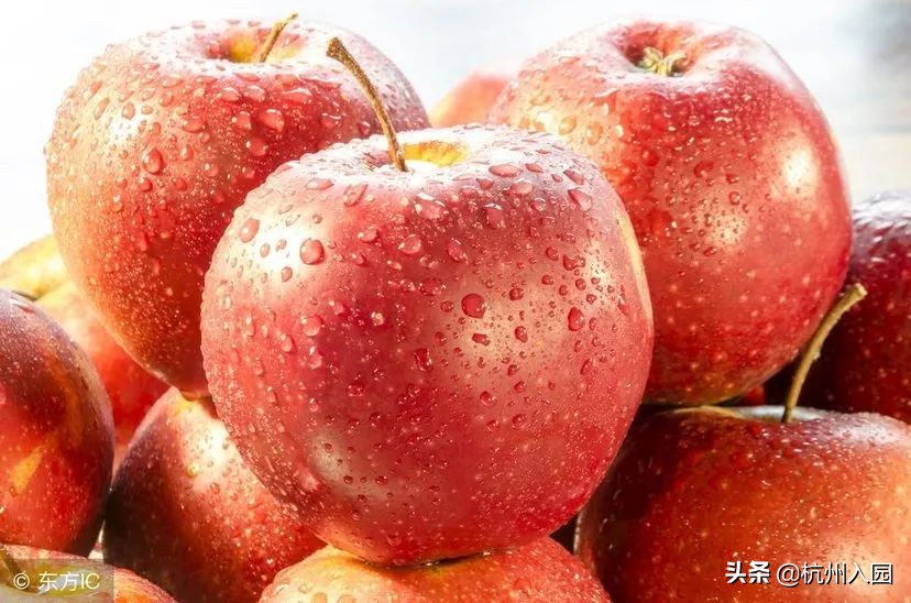 孩子在幼儿园吃了啥？杭州7所餐食超棒的幼儿园！看你家上榜没？