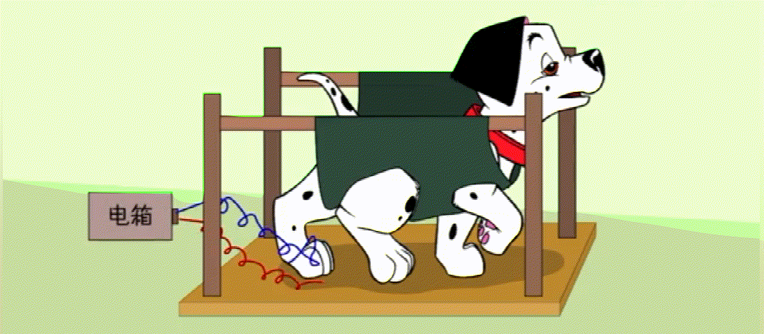 当减肥失败遭遇“破罐子破摔”？陷入习得性无助？6个技巧交给你