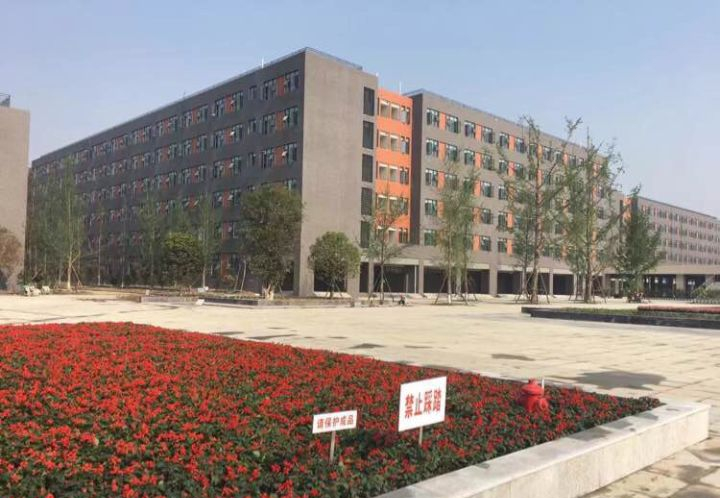 成都最低调的五朵私花学校，家长揭秘实外不为人知的一面