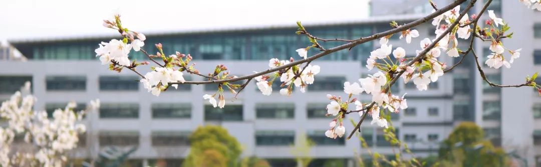 权威发布 | 浙江师范大学2020年学术型博士研究生招生简章