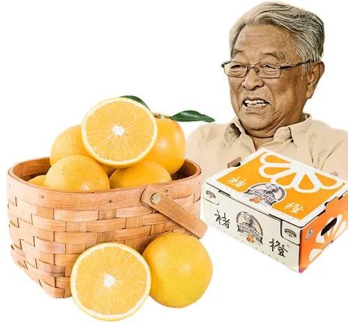 今年橙子这么便宜，为什么褚橙还那么贵？