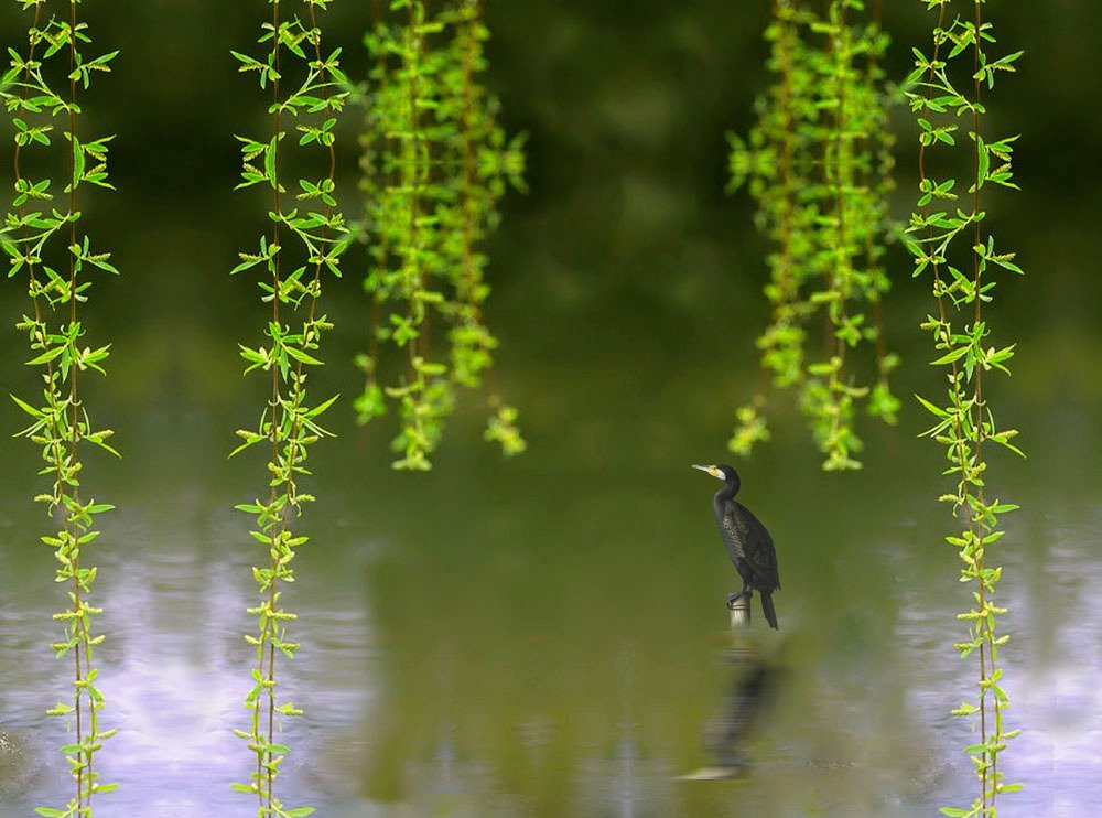 120个描写春天的好句段，让作文增光添彩的宝藏