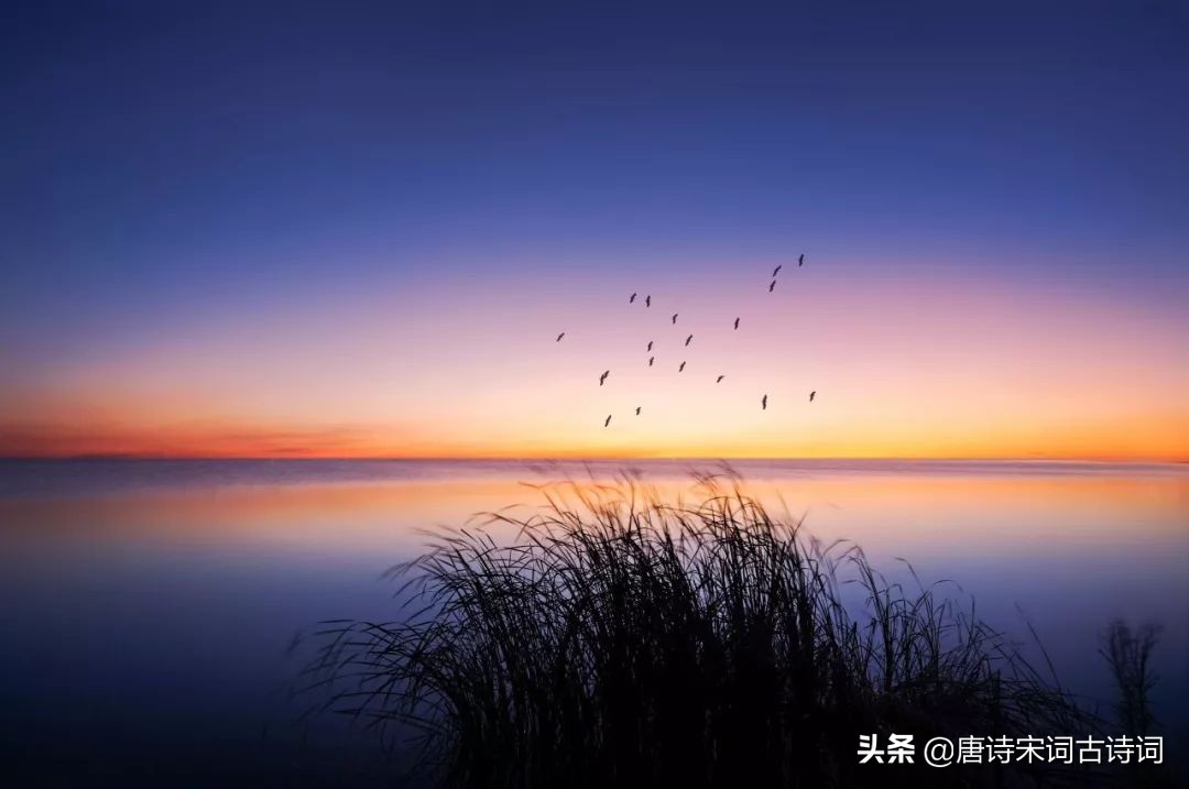 十首诗词，暮年生活，依旧美好