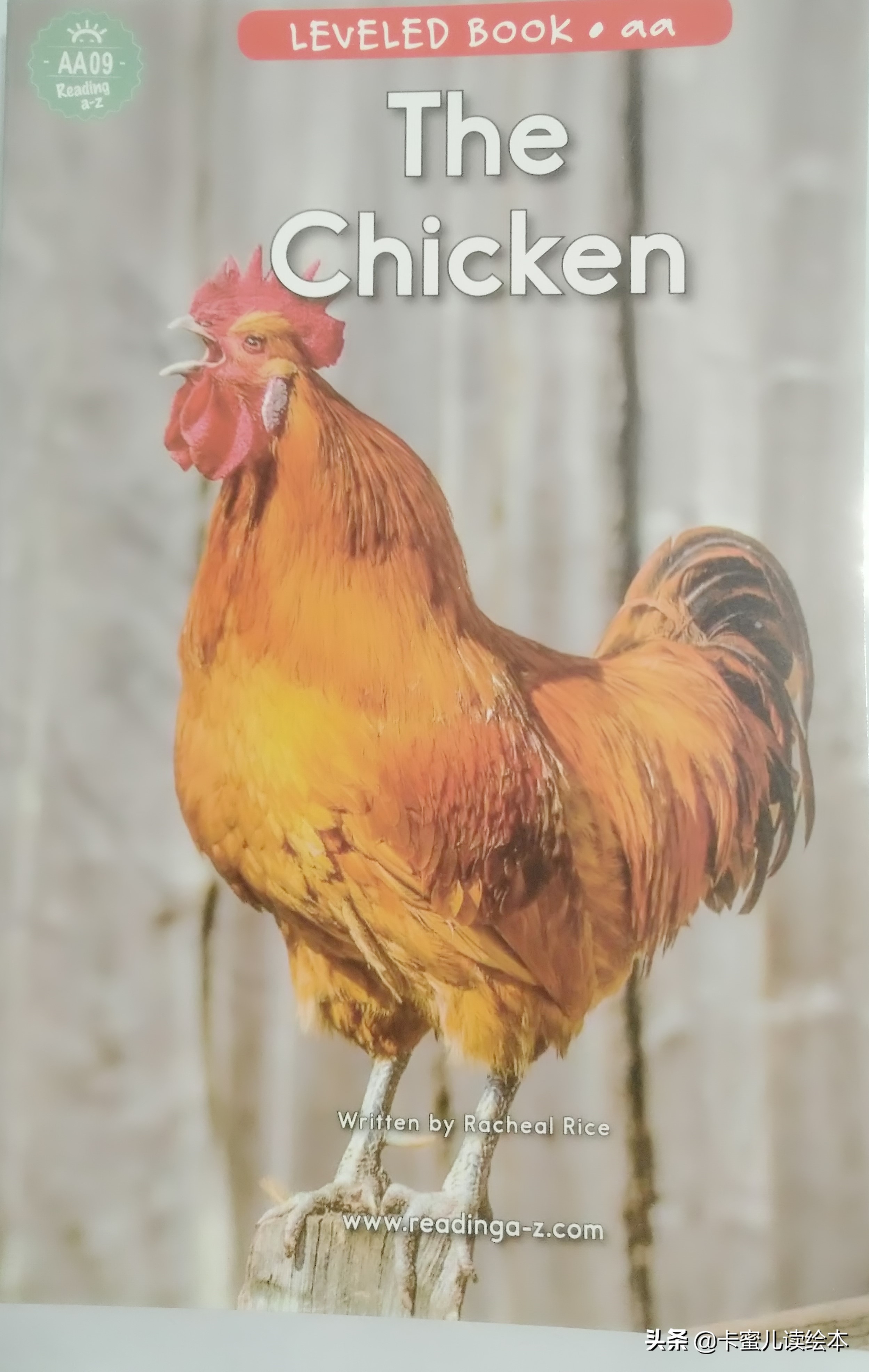 The Roosters Adventure: A Farm Tale
