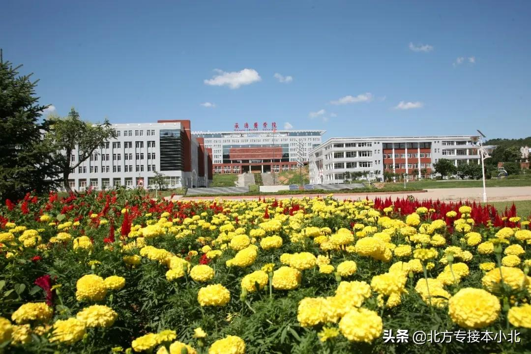 承德医学院：依山而建，四季有绿的“皇家医学院”