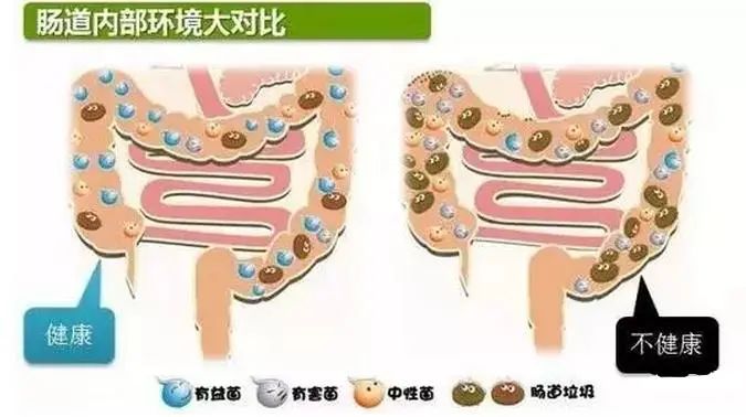 中国人变胖最常见的5个原因，你属于哪一种？