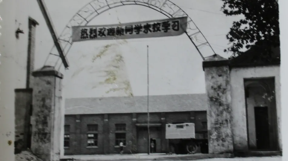 金职，生日快乐