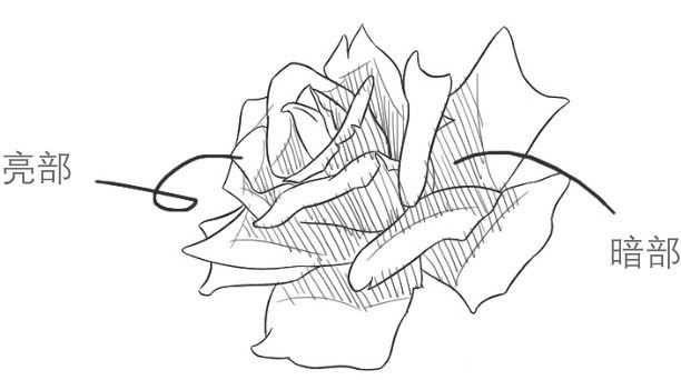最详细的玫瑰花画法步骤教程，简单易学，小白也能学会！