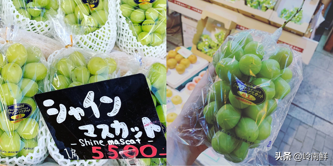 日本晴王葡萄太贵？价格减半的中国晴王它不香吗