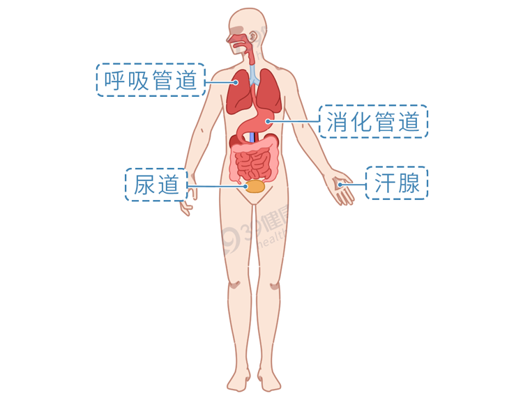 总是睡不够，稍微一动就很累？符合15个特征，说明身体亚健康了