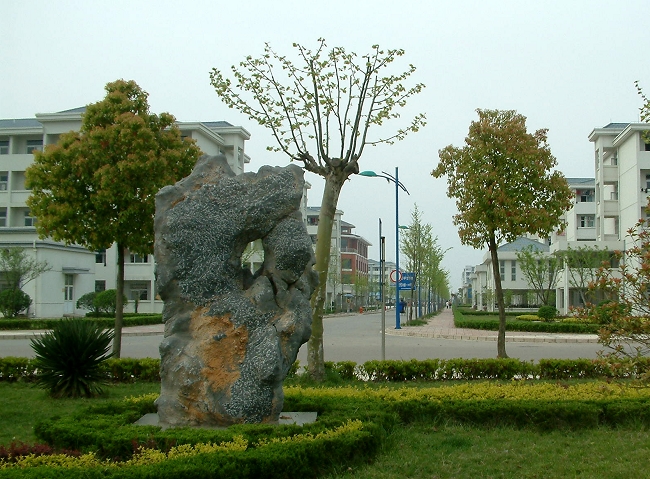 安徽师范大学艺术类录取1100人，2022届艺术专业报考需要多少分？