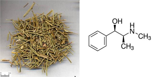 辟谣｜感冒药中含麻黄碱，听说是毒品前身，吃多了会成瘾？